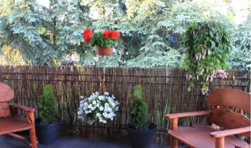 Realisation-Balcon-Canisse