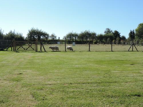 Realisation-Barriere-anglaise-et-enclos-a-mouton