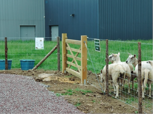 Realisation-Grillage-noue-avec-mouton-entree