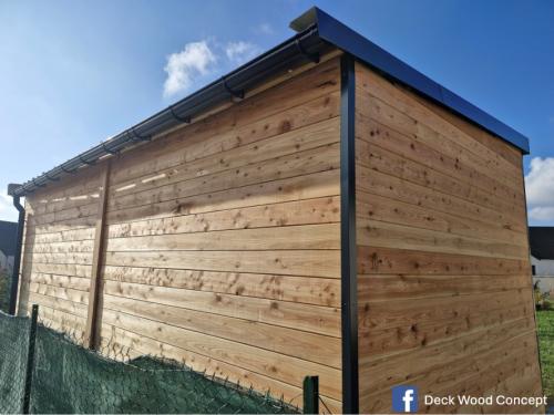 Realisation-Pool-house-meleze-arriere