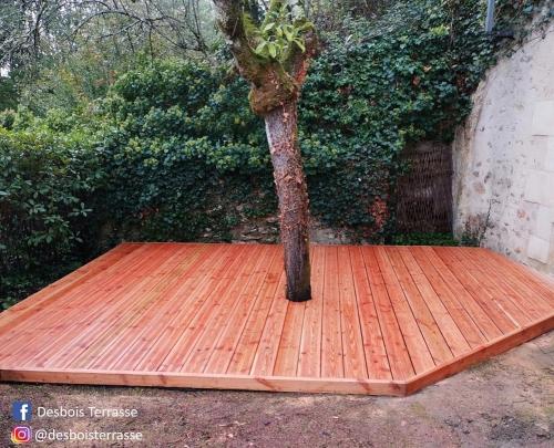 Realisation-Terrasse-meleze-avec-arbre