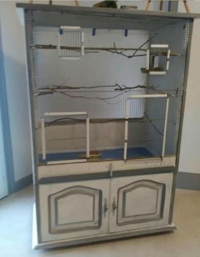 Realisation-Voliere-oiseau